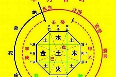 五行喜用神|八字喜用神在线查询器,五行喜什么查询免费